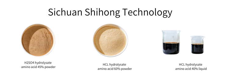 Amino acid fertilizer in hydrolysate manufacturer process